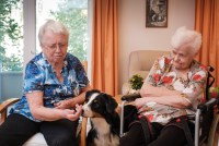 awo_archiv_tag_11_0143_seniorinnen_streicheln_hund.jpg