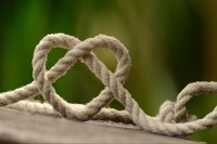 f_congerdesign_pixabay_rope-1469244.jpg