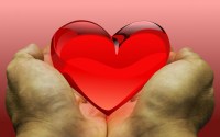 wagnercvilela_pixabay-feeling-2446129.jpg